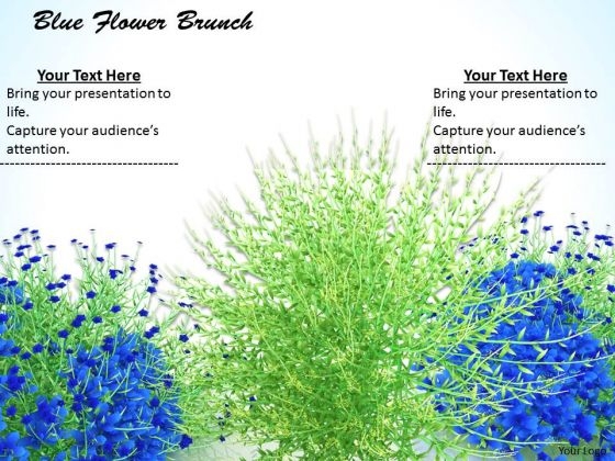 0814 Stock Photo Blue Flowers With Green Grass PowerPoint Slide 0814 Stock Photo Blue Flowers With Green Grass PowerPoint Slide