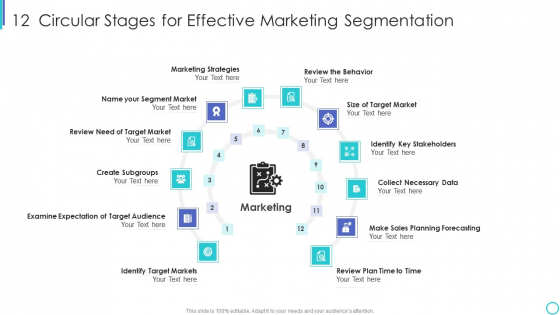 12 Circular Stages For Effective Marketing Segmentation Brochure PDF