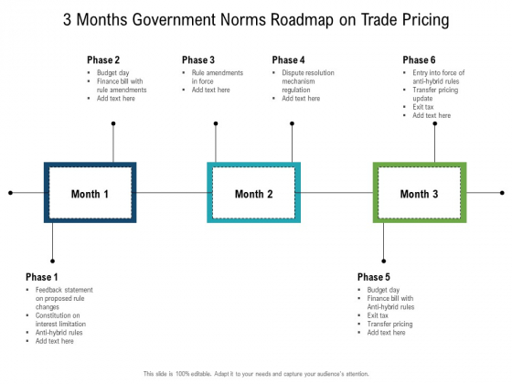 3 Months Government Norms Roadmap On Trade Pricing Slides