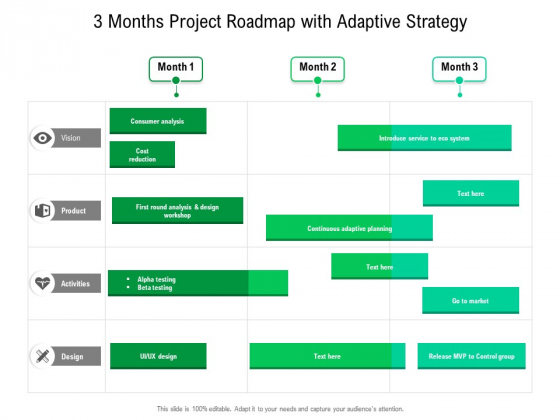 3 Months Project Roadmap With Adaptive Strategy Elements