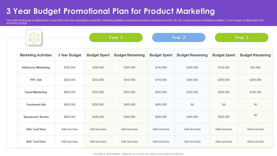 3 Year Budget Promotional Plan For Product Marketing Information PDF 3 Year Budget Promotional Plan For Product Marketing Information PDF