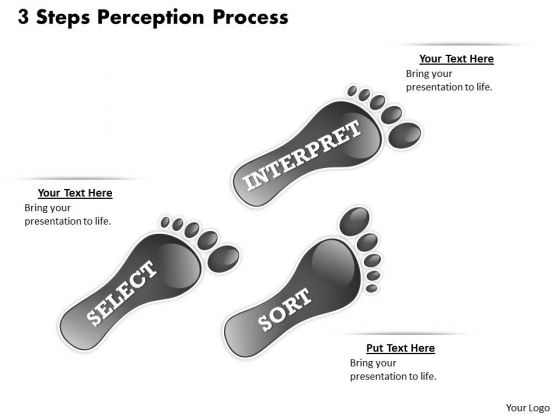3 Steps Perception Process PowerPoint Presentation Template