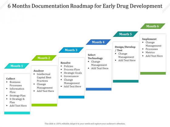 6 Months Documentation Roadmap For Early Drug Development Summary