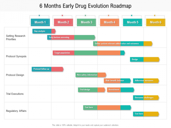 6 Months Early Drug Evolution Roadmap Formats