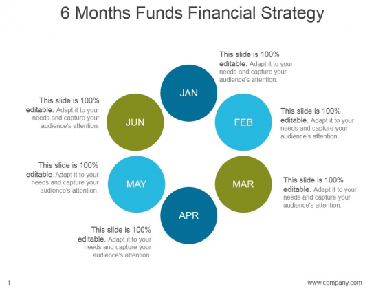 6 Months Funds Financial Strategy Ppt PowerPoint Presentation Example 2015 6 Months Funds Financial Strategy Ppt PowerPoint Presentation Example 2015