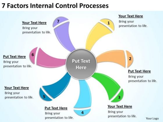 7 factors internal control