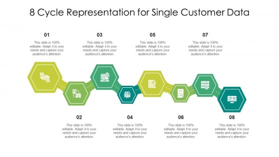 8 Cycle Representation For Single Customer Data Ppt PowerPoint Presentation File Slides PDF