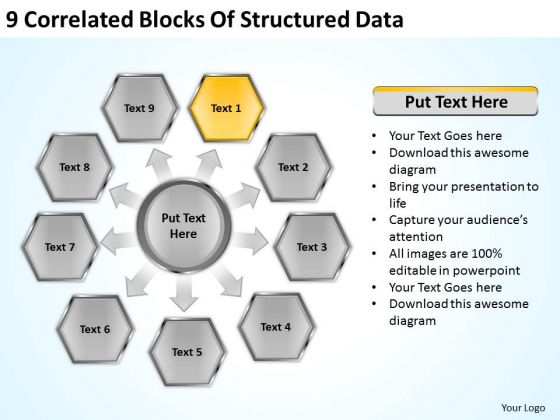 9 Correlated Blocks Of Structured Data Business Plan PowerPoint Templates