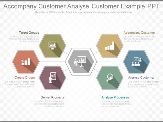 Accompany Customer Analyse Customer Example Ppt Accompany Customer Analyse Customer Example Ppt