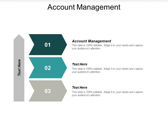 Account Management Ppt PowerPoint Presentation Ideas Layouts Cpb