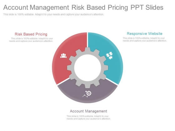 Account Management Risk Based Pricing Ppt Slides