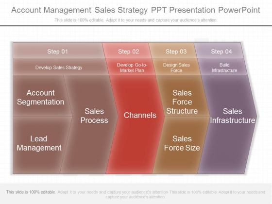 Account Management Sales Strategy Ppt Presentation Powerpoint