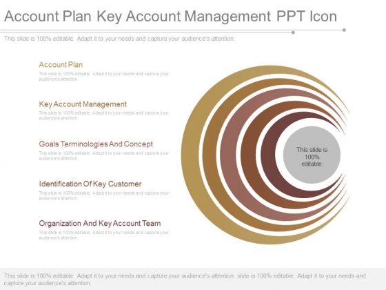 Account Plan Key Account Management Ppt Icon