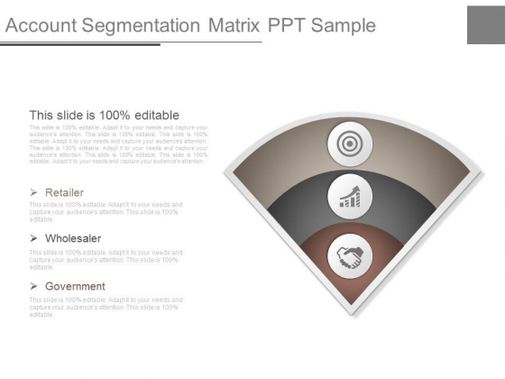Account Segmentation Matrix Ppt Sample Account Segmentation Matrix Ppt Sample
