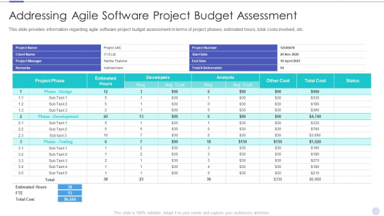 Addressing Agile Software Project Budget Assessment Summary PDF
