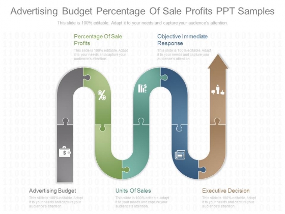 Advertising Budget Percentage Of Sale Profits Ppt Samples