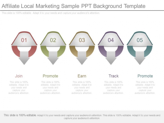 Affiliate Local Marketing Sample Ppt Background Template Affiliate Local Marketing Sample Ppt Background Template