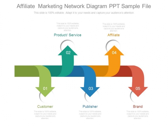 Affiliate Marketing Network Diagram Ppt Sample File