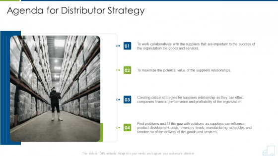 Agenda For Distributor Strategy Guidelines PDF