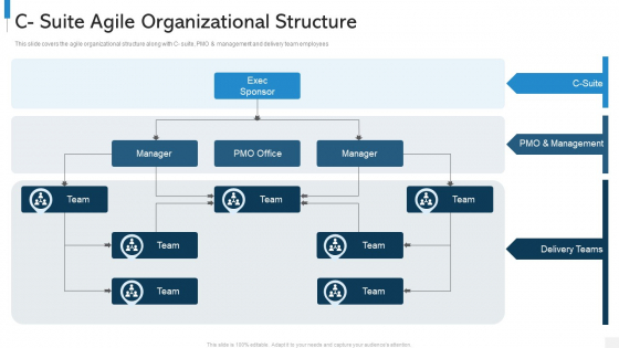 Agile Org Chart It C Suite Agile Organizational Structure Structure PDF