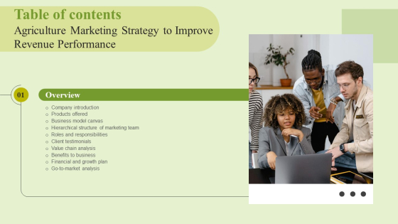 Agriculture Marketing Strategy To Improve Revenue Performance Table Of Contents Inspiration PDF