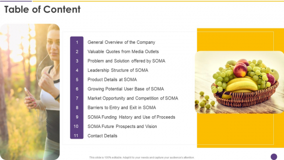 Alejandro Cremades Investor Financing Pitch Deck SOMA Table Of Content Inspiration PDF