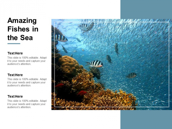 Amazing Fishes In The Sea Ppt Powerpoint Presentation Visual Aids Files