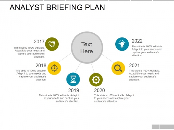 Analyst Briefing Plan Ppt PowerPoint Presentation Infographics Professional