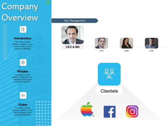 Assessing Synergies Company Overview Ppt PowerPoint Presentation Show Influencers PDF Assessing Synergies Company Overview Ppt PowerPoint Presentation Show Influencers PDF