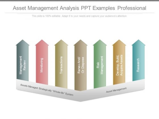 Asset Management Analysis Ppt Examples Professional Asset Management Analysis Ppt Examples Professional