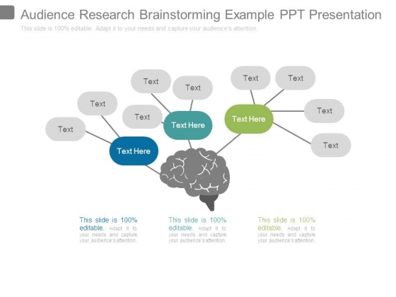 Audience Research Brainstorming Example Ppt Presentation Audience Research Brainstorming Example Ppt Presentation