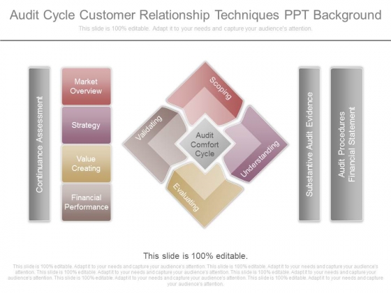 Audit Cycle Customer Relationship Techniques Ppt Background