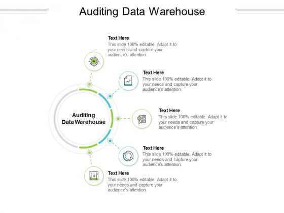 Auditing Data Warehouse Ppt PowerPoint Presentation Show Clipart Images Cpb Pdf