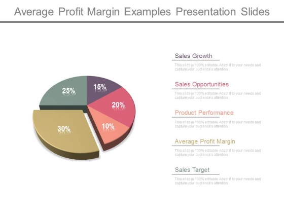 Average Profit Margin Examples Presentation Slides Average Profit Margin Examples Presentation Slides