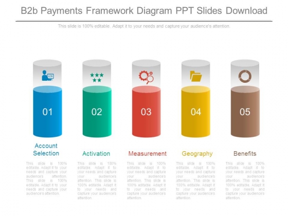 B2b Payments Framework Diagram Ppt Slides Download