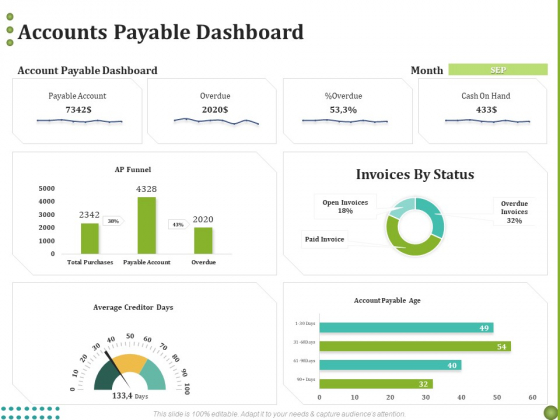 BPO Managing Enterprise Financial Transactions Accounts Payable Dashboard Demonstration PDF