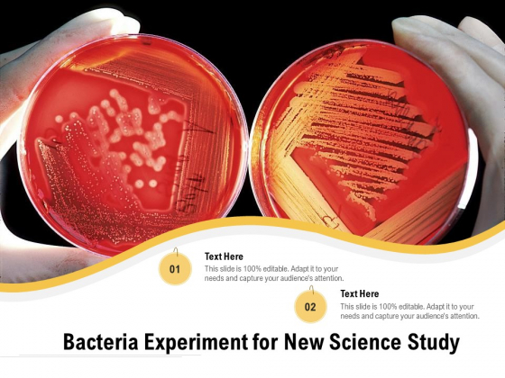 Bacteria Experiment For New Science Study Ppt PowerPoint Presentation Icon Model PDF