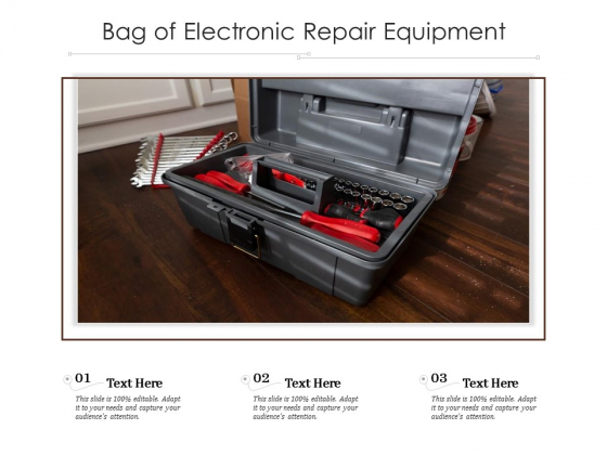 Bag Of Electronic Repair Equipment Ppt File Gridlines PDF