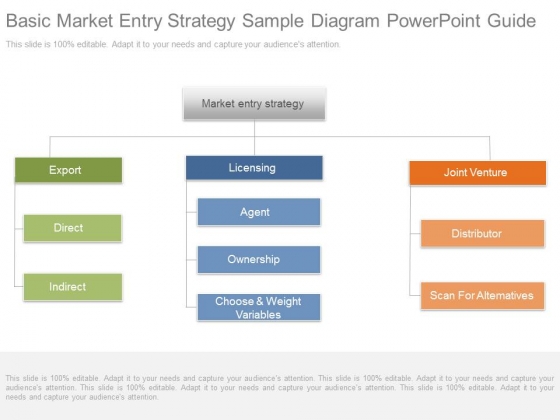 Basic Market Entry Strategy Sample Diagram Powerpoint Guide Basic Market Entry Strategy Sample Diagram Powerpoint Guide