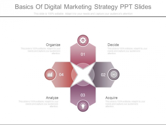 Basics Of Digital Marketing Strategy Ppt Slides