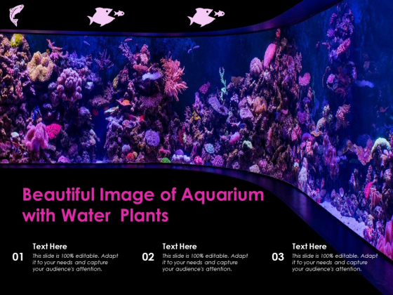 Beautiful Image Of Aquarium With Water Plants Ppt PowerPoint Presentation Gallery Grid PDF Beautiful Image Of Aquarium With Water Plants Ppt PowerPoint Presentation Gallery Grid PDF