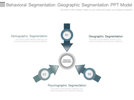 Behavioral Segmentation Geographic Segmentation Ppt Model Behavioral Segmentation Geographic Segmentation Ppt Model
