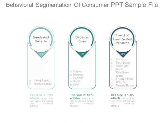 Behavioral Segmentation Of Consumer Ppt Sample File Behavioral Segmentation Of Consumer Ppt Sample File
