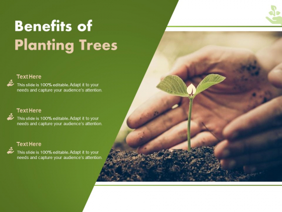 Benefits Of Planting Trees Ppt PowerPoint Presentation Styles Mockup