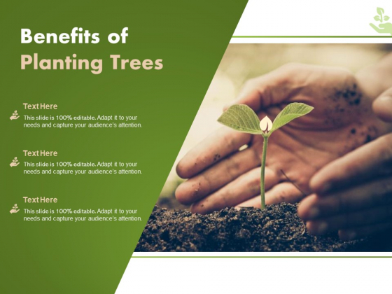 Benefits Of Planting Trees Ppt PowerPoint Presentation Styles Mockup Benefits Of Planting Trees Ppt PowerPoint Presentation Styles Mockup