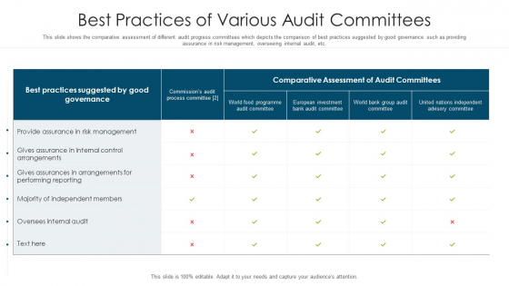 Best Practices Of Various Audit Committees Ppt PowerPoint Presentation File Model PDF Best Practices Of Various Audit Committees Ppt PowerPoint Presentation File Model PDF