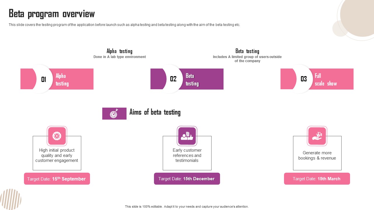 Beta Program Overview Ppt Portfolio Good PDF - PowerPoint Templates