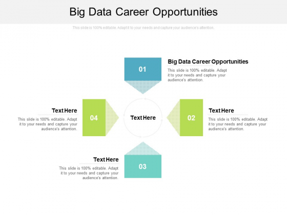 Big Data Career Opportunities Ppt PowerPoint Presentation Portfolio Format Ideas Cpb