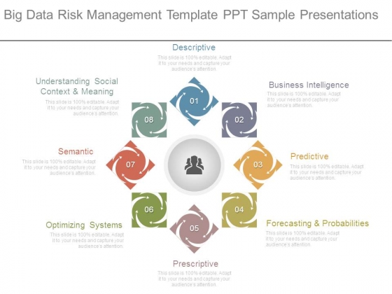 Big Data Risk Management Template Ppt Sample Presentations