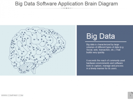 Big Data Software Application Brain Diagram Ppt PowerPoint Presentation Slides